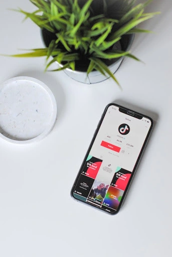 How to Make Use of TikTok to Boost Your Small Business