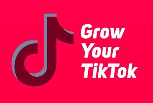 How to Grow Your Following on TikTok