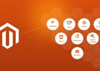 Magento Development Service